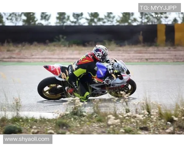 杭州篮球队在耐力排行榜中荣获第三名展现出强大实力与团队精神