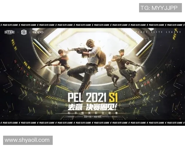 和平精英赛事实力评估权威发布全面解读比赛经验与选手排名