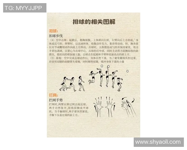 网球比赛规则解析与实战应用:从发球到计分的全面讲解