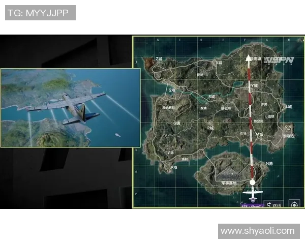 和平精英热议RNG比赛经验引发的争议与讨论分析