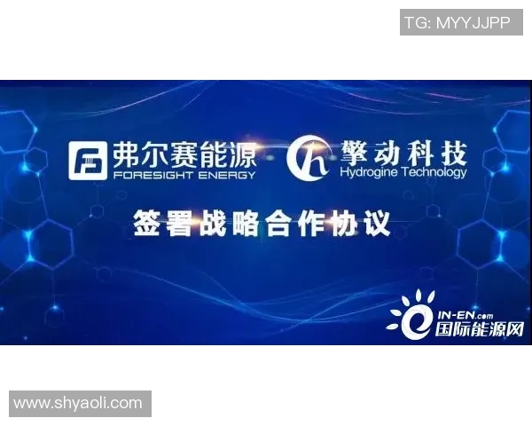 LNG团队协作展现出色实力大师赛点评分析其成功之道