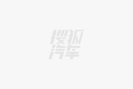 乐鱼leyu体育官网意大利十大最出名高端自行车品牌FRW辐轮王公路车一王四后(图2)